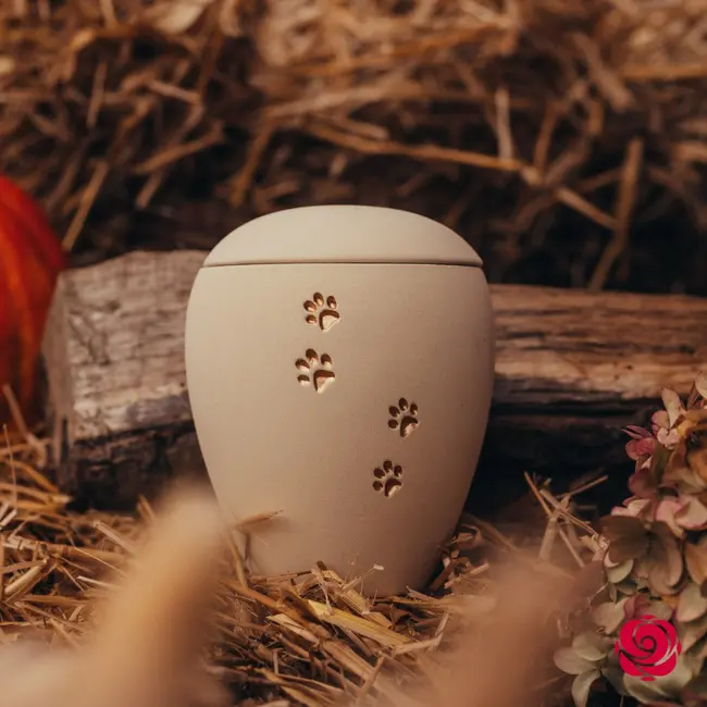 Ein schönes herbstliches Bild in den letzten Oktobertagen mit einer wunderschönen Urne. Diese Keramikurne ist schlicht...